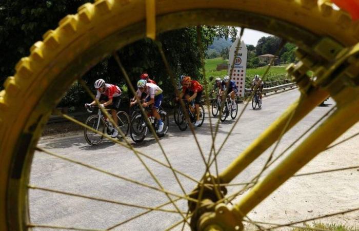 Tour de France 2024. At what time and on which TV channel to watch the second stage live?
