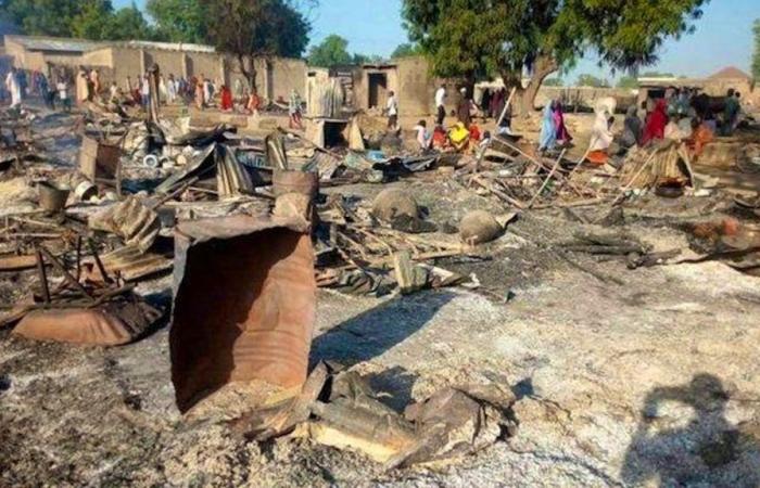 Nigeria attacks: Woman blows herself up at party with baby on her back