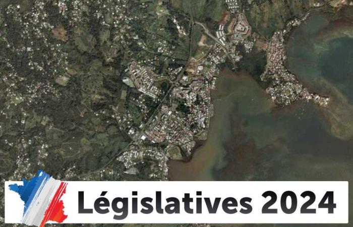 Legislative election results in Robert: the 2024 election live