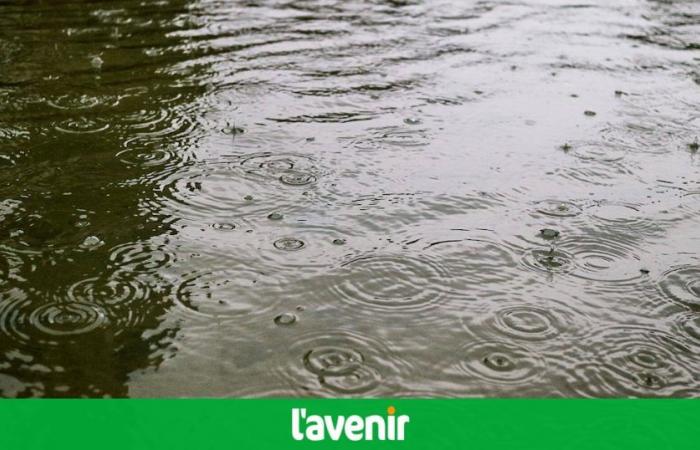 Weather: rain first in the east, then in the west