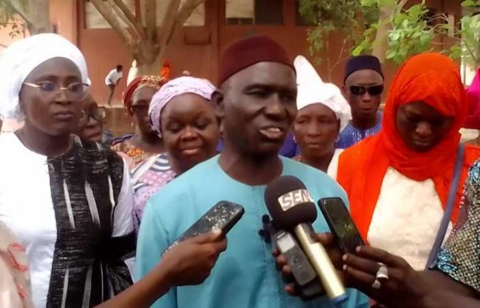 Fonio cultivation in Senegal: Sanoussy Diakité calls for a special program to increase production