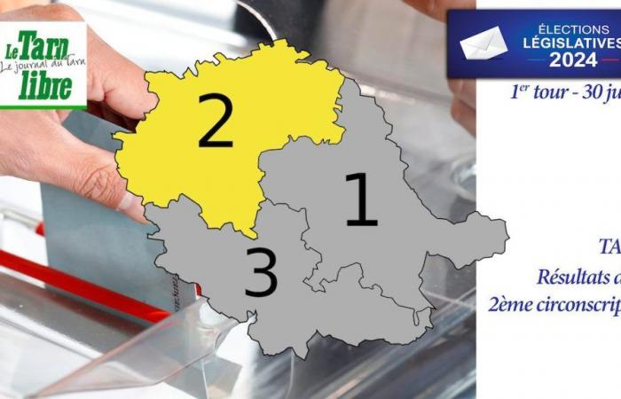 2024 legislative elections in Tarn: the results of the 2nd constituency in the 1st round