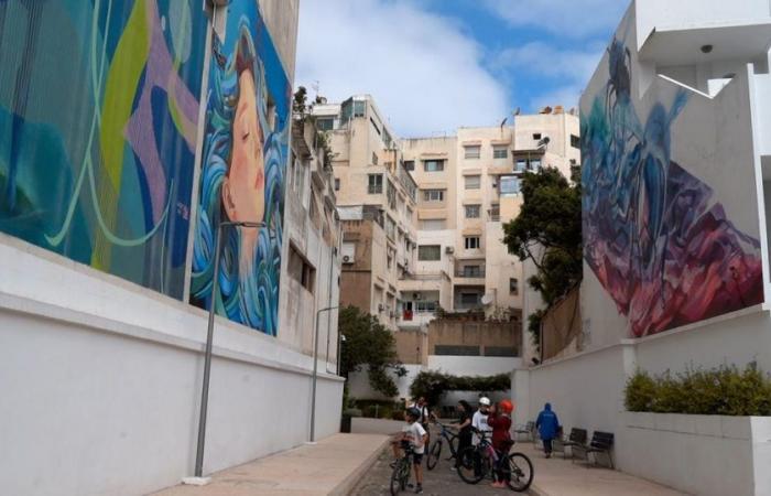 Casablanca: a (half) bike tour to discover the murals in the capital of street art in Africa