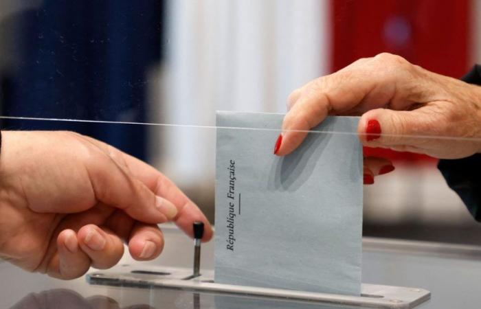 2024 Legislative Elections: All the results of the first round in the Hautes-Pyrénées and in your municipality