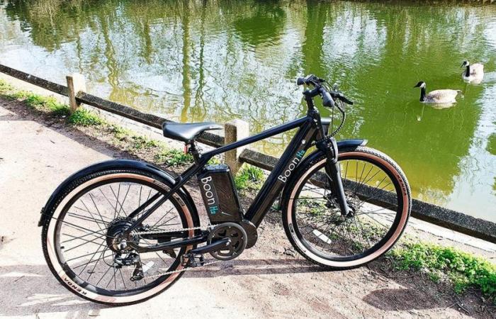 the electric bike but without battery