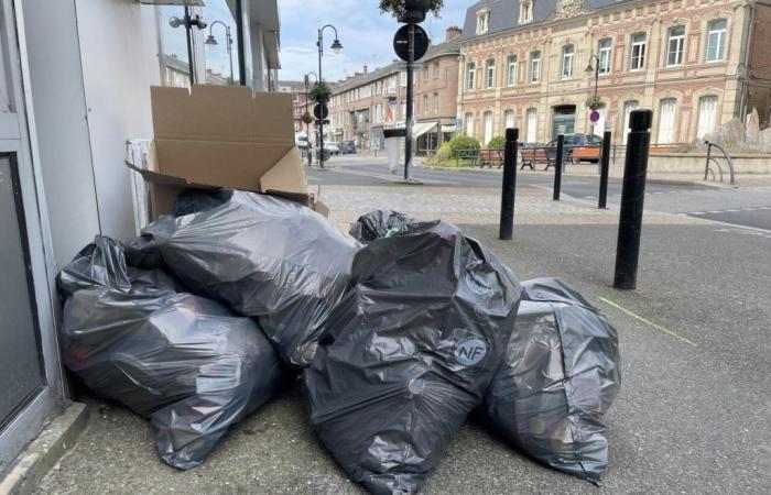 Waste collection strike in Abbeville: trash bins remain on the sidewalk