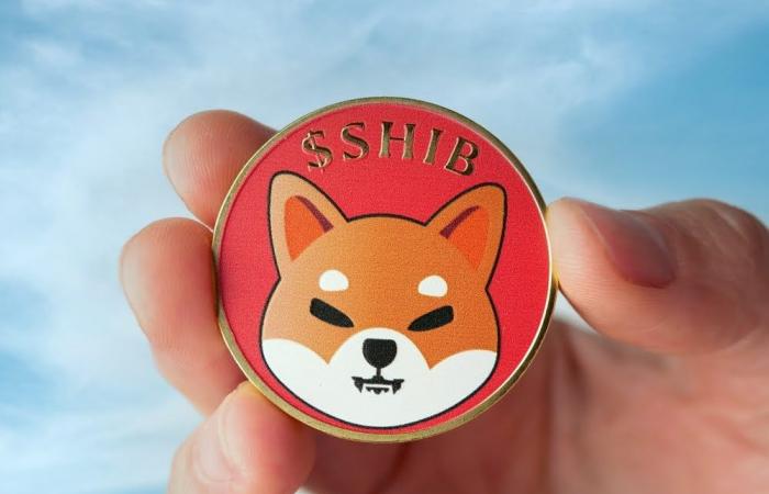 Shiba Inu and Memeinator Price Predictions as Cryptocurrency Market Seeks to Rebound