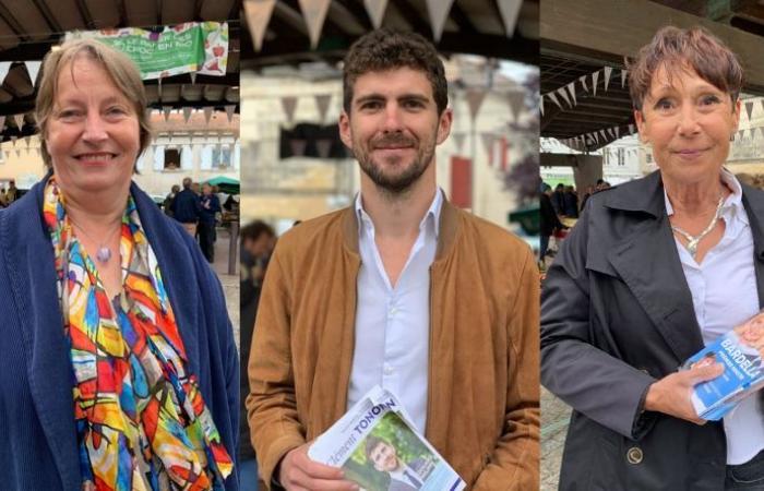 2024 legislative elections in Dordogne: three candidates qualified for the second round in the Périgueux constituency
