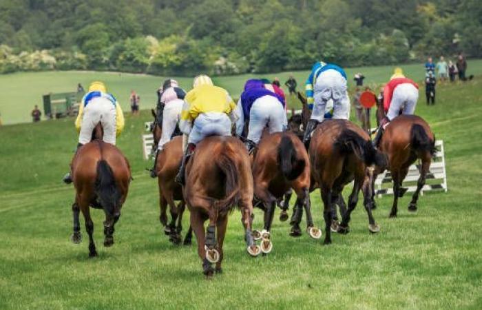 Quinté in Saint Cloud Sunday June 30 at 3:15 p.m.: Hervé Fortin’s horse racing predictions