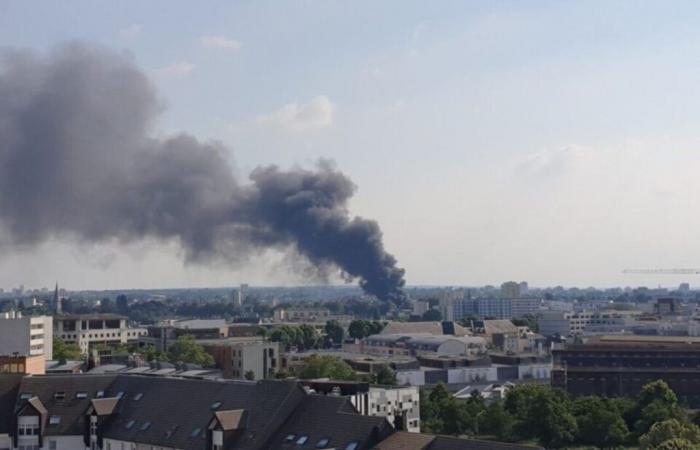 Violent fire, FCR, wild boars… What happened this week in Rouen