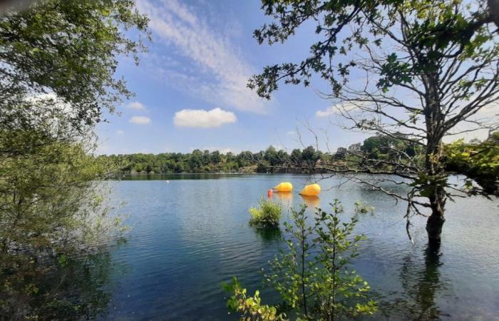 In Vendée, this little hidden paradise will soon open to walkers