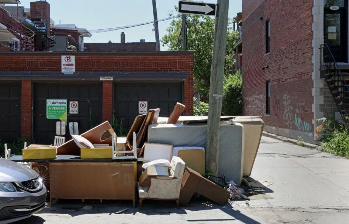 Removals | “People are getting rid of everything”