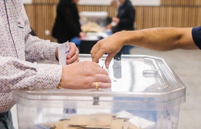 Legislative elections 2024: discover the results of the 1st round in Haute-Garonne