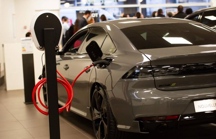 Electric car sales are collapsing in Europe, here’s what’s replacing them