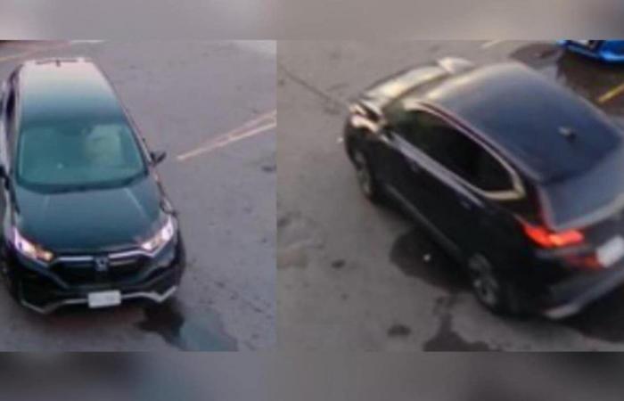 Suspect wanted in Toronto after eight shootings allegedly linked to towing