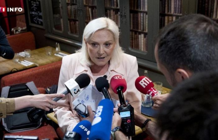 Who is this other Le Pen who is running for a seat in the National Assembly?