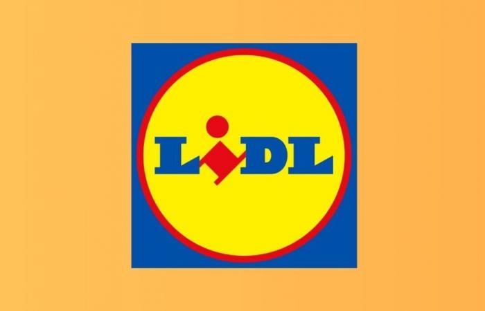 Lidl offers exceptional discounts on its star products during the sales