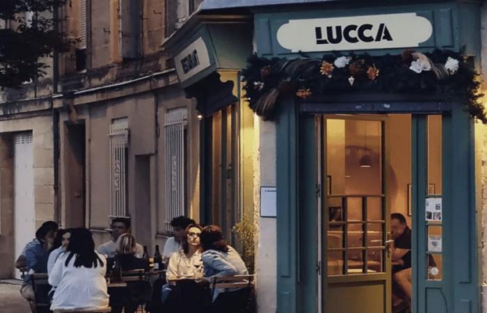 An unforgettable lunch at Lucca