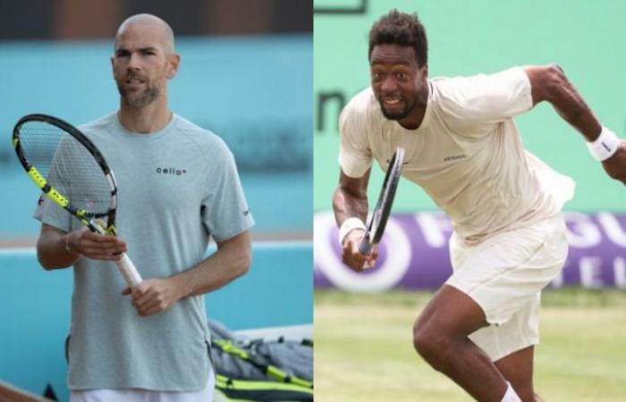Tennis. Wimbledon – Gaël Monfils: “I didn’t tell Mannarino that we were playing each other”