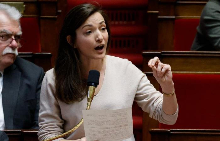 Marie-Charlotte Garin re-elected in the first round in the 3rd constituency of the Rhône