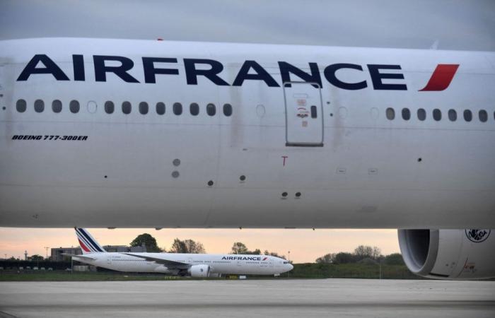 Air France deplores “avoidance” of Paris by international travelers