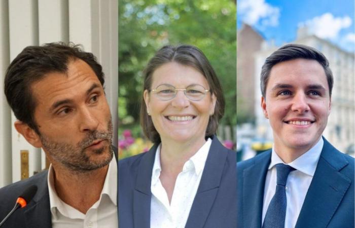 Legislative elections in Seine-et-Marne: despite being 3rd, MP Aude Luquet holds on and leads to a three-way race