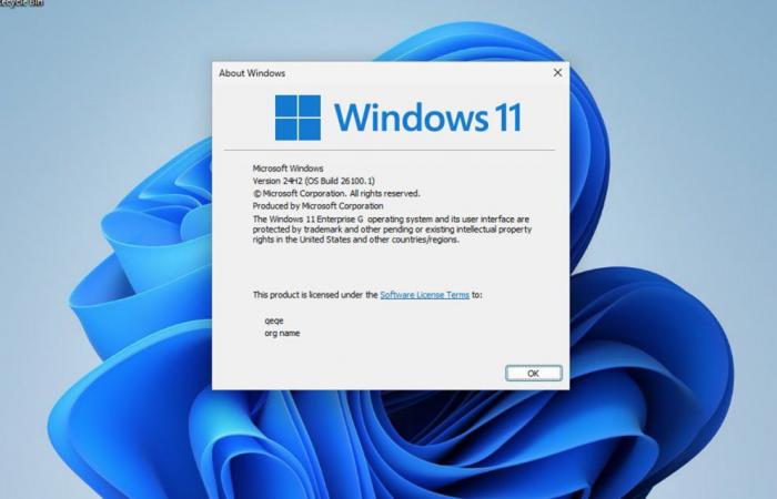 Do not install this light version of Windows 11 that is lying around on the internet, it is full of flaws