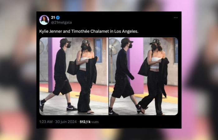 Kylie Jenner and Timothée Chalamet spotted together on a movie date