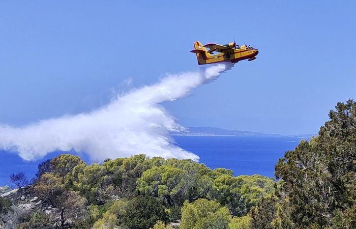 Greek PM warns of wildfires this summer