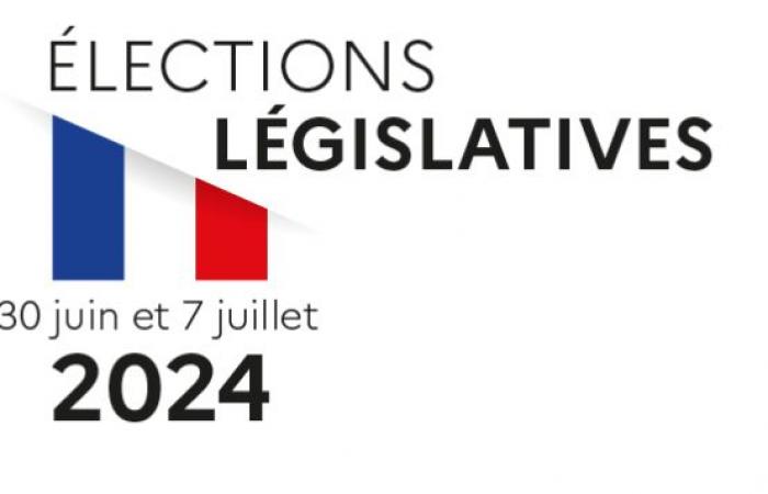 LEGISLATIVE – 5th constituency of Saône et Loire – Louis Margueritte’s score surprisingly “good” despite appearances – info-chalon.com