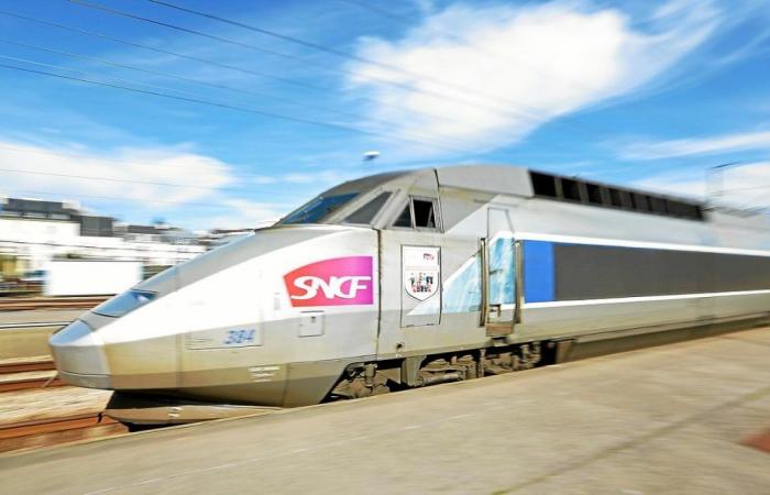 The attacker of the TGV conductor in Brest sentenced