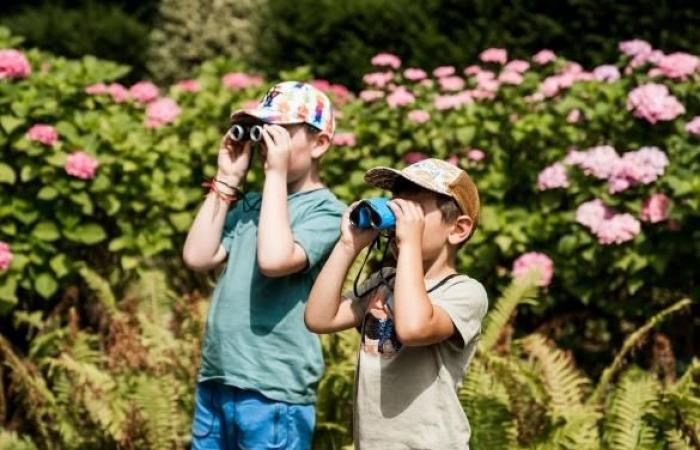 Summer activities at the Mulhouse Zoological and Botanical Park – M+