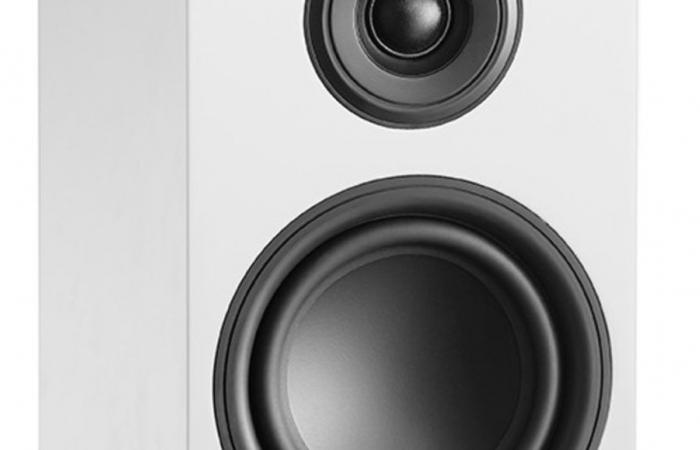This hi-fi speaker (passive) offers the best quality/price ratio in our comparison