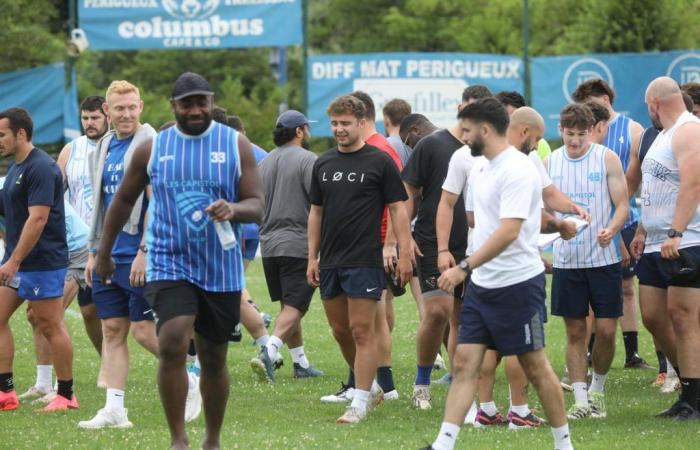 return to the field for CA Périgueux players