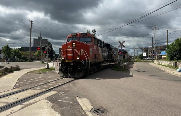 Pedestrian dies after being hit by train in Moncton