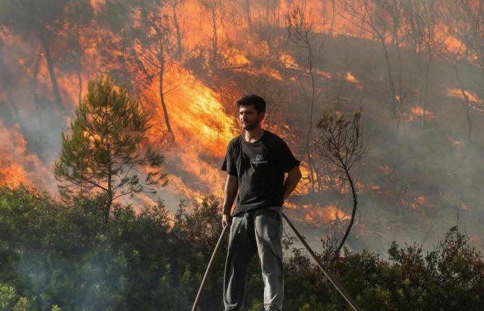 Greece: the Athens region in the grip of two big fires