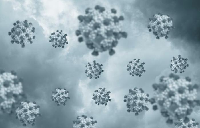 Hundreds of people infected with norovirus in the Lake Garda region