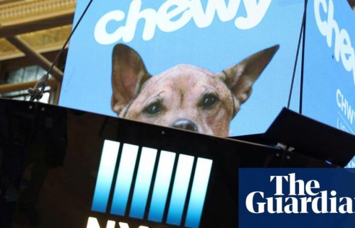 Chewy shares stage short-lived rally as filing reveals ‘Roaring Kitty’ takes stake | Stock markets