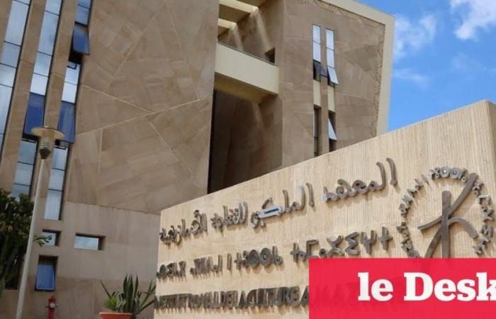 Official launch of distance learning courses in the Amazigh language