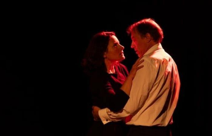 Avignon Off Festival: Letters to Anne, a love for life and death