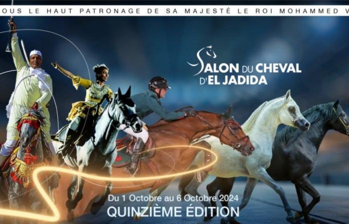 The 15th edition of the El Jadida Horse Show from October 1st to 6th
