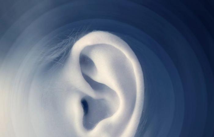 Improved hearing in lab mice