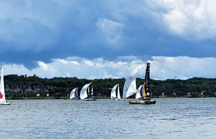 Activities to mark the passage of the Transat Québec Saint-Malo to Gaspé