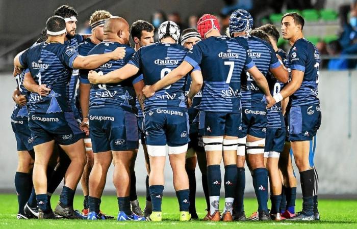 Vannes finalizes its recruitment for the Top 14 with some heavyweights!
