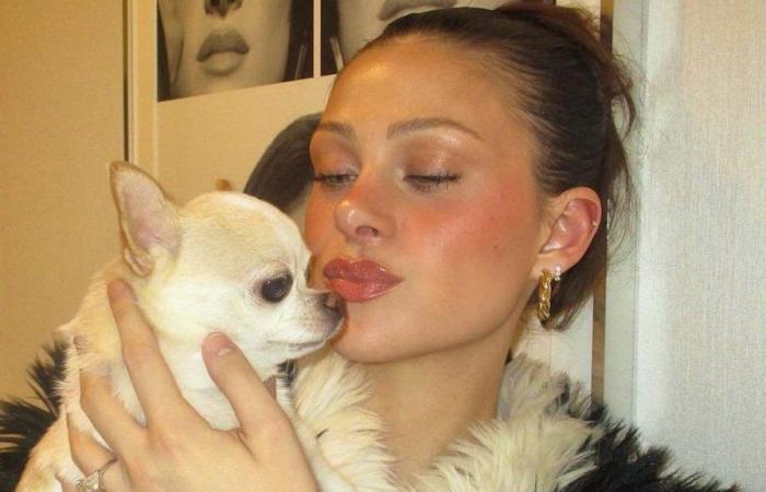 Nicola Peltz’s dog dies after being groomed