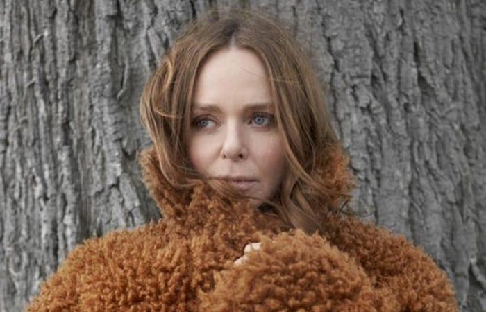 Stella McCartney calls on peers to give up the pen