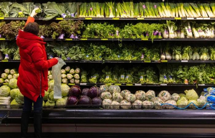 New York grocer Gristedes to spend millions to fight greenhouse gas charges in US