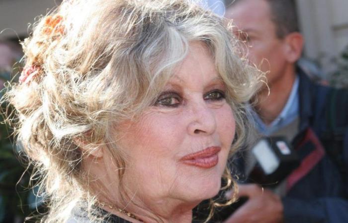 Brigitte Bardot confides in her great-grandchildren