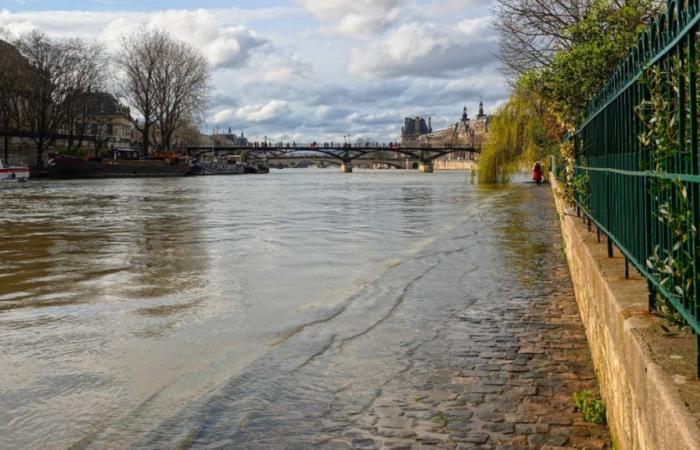 Seine in Paris: a flow rate that is starting to rise again