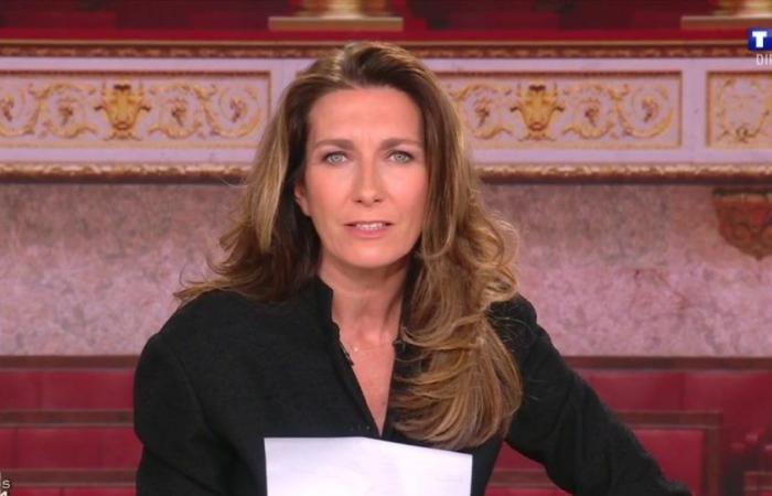 Audiences: TF1, France 2 or France 3, who won the election night match?